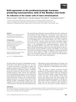 Báo cáo khoa học: EcR expression in the prothoracicotropic hormoneproducing neurosecretory cells of the Bombyx mori brain ppt