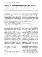 Báo cáo Y học: Structural and functional characterization of a C-type lectin-like antifreeze protein from rainbow smelt (Osmerus mordax) potx