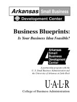 Business Blueprints: Is Your Business Idea Feasible? pptx