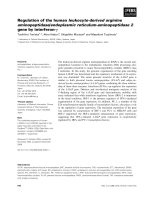 Báo cáo khoa học: Regulation of the human leukocyte-derived arginine aminopeptidase/endoplasmic reticulum-aminopeptidase 2 gene by interferon-c pot