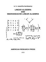volume 10 linear algebra