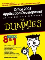 office 2003 application development all-in-one desk reference for dummies