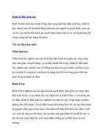 Kinh tế thần kinh học docx