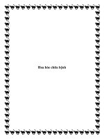 Hoa hòe chữa bệnh potx