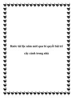 Rước tài lộc năm mới qua bí quyết bài trí cây cảnh trong nhà pptx