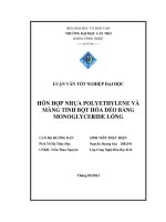 hỗn hợp nhựa polyethylene và màng tinh bột hóa dẻo bằng monoglyceride lỏng