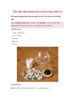 Trang trí cho chiếc cốc ppt