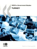 oecd e government studies turkey 2007 pdf