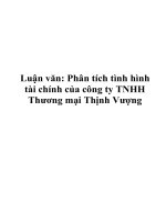Luận văn: Phân tích tình hình tài chính của công ty TNHH Thương mại Thịnh Vượng pdf