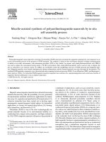 micelle-assisted synthesis of polyaniline  magnetite nanorods by in situ self - assembly process