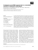 Báo cáo khoa học: A designed curved DNA segment that is a remarkable activator of eukaryotic transcription potx