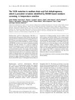 Báo cáo khoa học: The Y42H mutation in medium-chain acyl-CoA dehydrogenase, which is prevalent in babies identiﬁed by MS/MS-based newborn screening, is temperature sensitiv pptx
