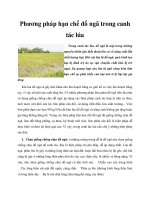 Phương pháp hạn chế đổ ngã trong canh tác lúa pptx