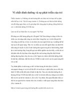 Vi chất dinh dưỡng và sự phát triển của trẻ pdf