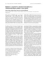 Báo cáo khoa học: Mediator is required for activated transcription in a Schizosaccharomyces pombe in vitro system potx