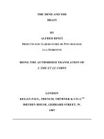 THE MIND AND THE BRAIN doc