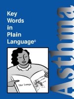 Key Words in Plain Language pdf