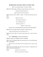 ĐỀ KIỂM TRA VÀO LỚP 6: MÔN VĂN TIẾNG VIỆT(Đề thi vào trường Amsterdam ) doc