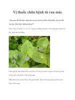 Vị thuốc chữa bệnh từ rau mác pptx