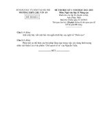 Đề thi học kì 1 môn Văn D lớp 11 nâng cao 2 năm 2013 trường Chu Văn An pot