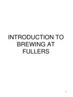 INTRODUCTION TO BREWING AT FULLERS docx