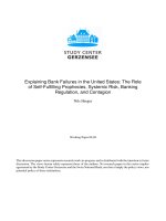 Explaining Bank Failures in the United States: The Role of Self-Fulfilling Prophecies, Systemic Risk, Banking Regulation, and Contagion pdf
