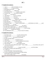 Trắc nghiệm tiếng anh đề 1 ppt