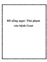 Đồ uống ngọt: Thủ phạm của bệnh Gout potx