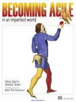 Becoming Agile: ...in an imperfect world pdf