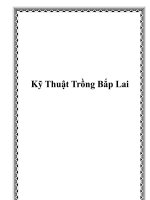 Kỹ Thuật Trồng Bắp Lai doc