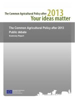 The Common Agricultural Policy after 2013 Public debate Summary Report docx
