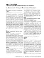 Báo cáo khoa học: INVITED LECTURES potx