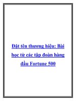 Đặt tên thương hiệu: Bài học từ các tập đoàn hàng đầu Fortune 500 pot
