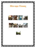 Hòn ngọc Penang pdf