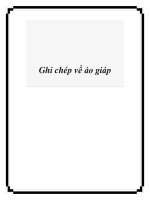 Ghi chép về áo giáp doc