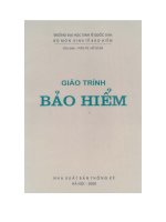 Giáo trình bảo hiểm doc