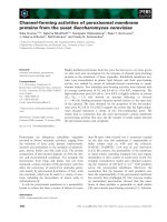 Báo cáo khoa học: Channel-forming activities of peroxisomal membrane proteins from the yeast Saccharomyces cerevisiae pot