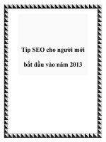 Tip SEO cho người mới bắt đầu vào năm 2013 pptx
