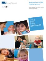 Maternal and Child Health Service Program Standards: Every child, every opportunity doc