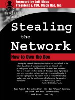 stealing the network - how to own the box