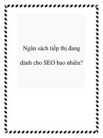 Ngân sách tiếp thị đang dành cho SEO bao nhiêu? doc