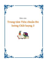 Báo cáo Trung tâm Tiêu chuẩn Đo lường Chất lượng 3 pot