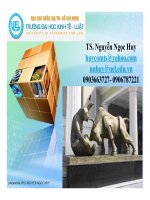 bài giảng tổng quan thị trường chứng khoán - ts nguyễn ngọc huy