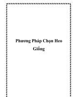 Phương Pháp Chọn Heo Giống pptx