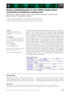 Báo cáo khoa học: Human metallothioneins 2 and 3 differentially affect amyloid-beta binding by transthyretin doc