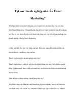 Tại sao Doanh nghiệp nhỏ cần Email Marketing? potx