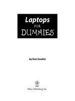 laptops for dummies