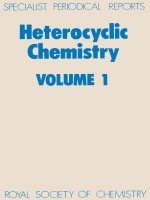 Heterocyclic Chemistry Volume 1 pot