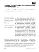 Báo cáo khoa học: Interaction of human steﬁn B in the preﬁbrillar oligomeric form with membranes Correlation with cellular toxicity doc