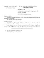 Kỳ thi chọn lọc học sinh giỏi quốc gia THPT năm 2011 môn Ngữ Văn pdf
